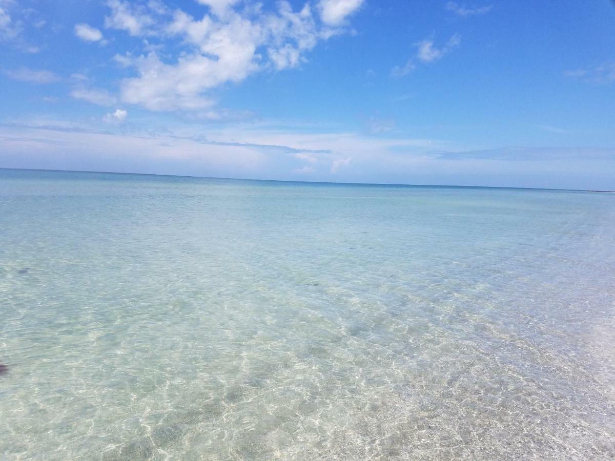 Amazing Panoramic Beach View And The Most Beautiful Sunset Longboat Key Εξωτερικό φωτογραφία